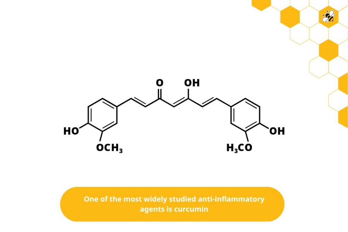 One of the most widely studied anti-inflammatory agents is curcumin