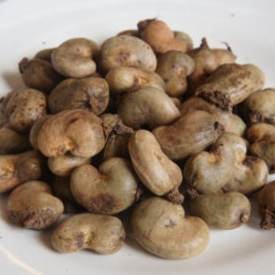 Raw Cashew Nut