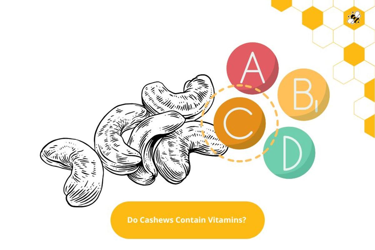 Do Cashews Contain Vitamins?
