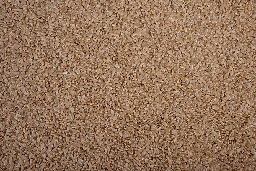 Japonica Brown Rice