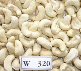 White Cashews WW 320