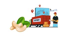 Top countries and regions with the world's largest cashew nut industries