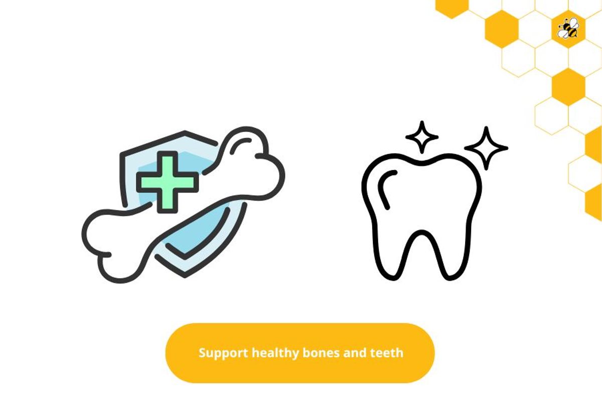 Support healthy bones and teeth