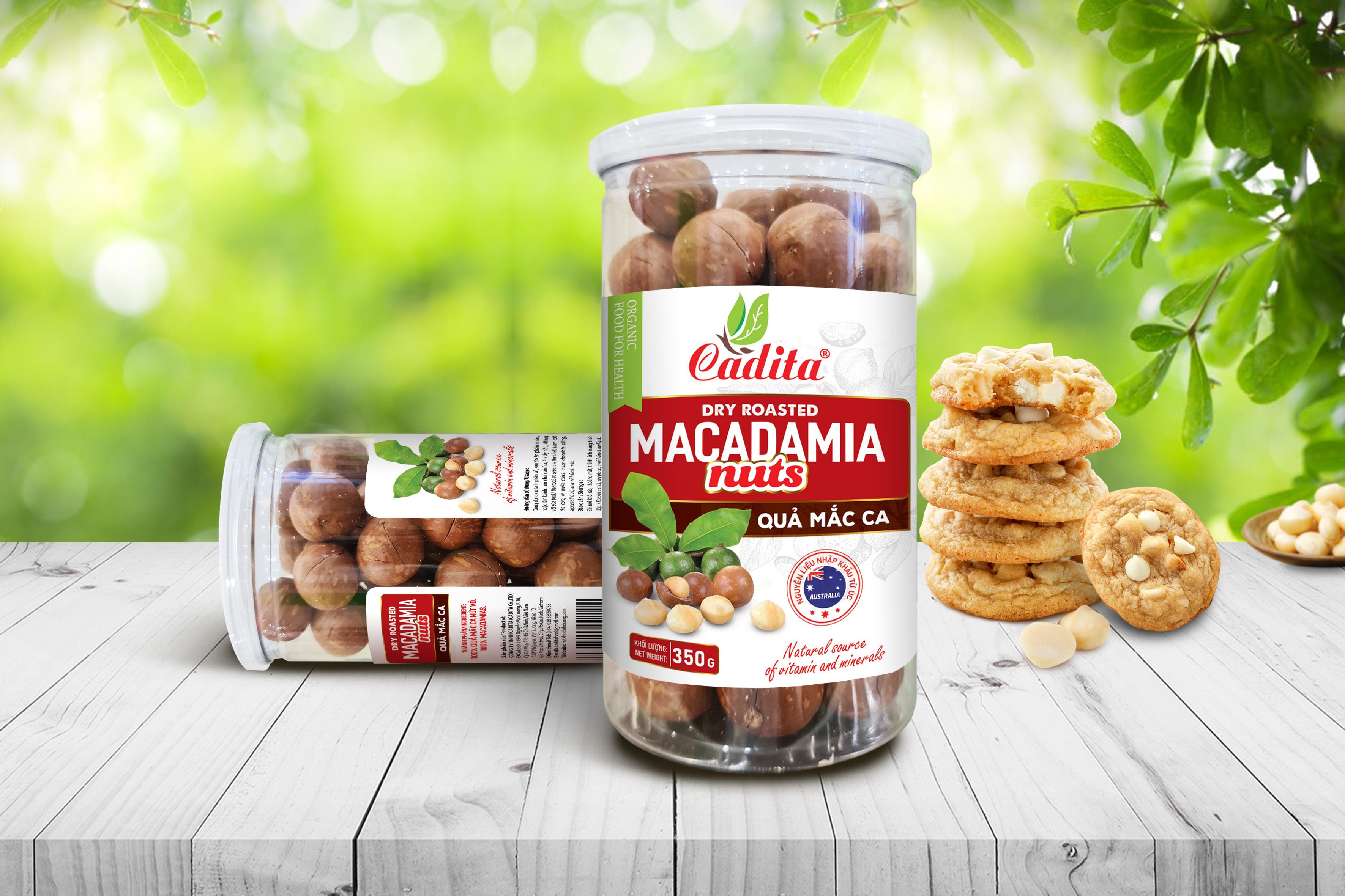 Macadamia Nuts