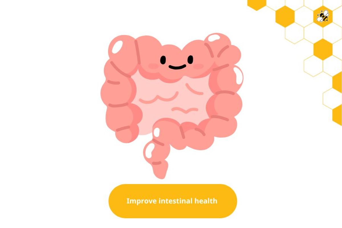 Improve intestinal health