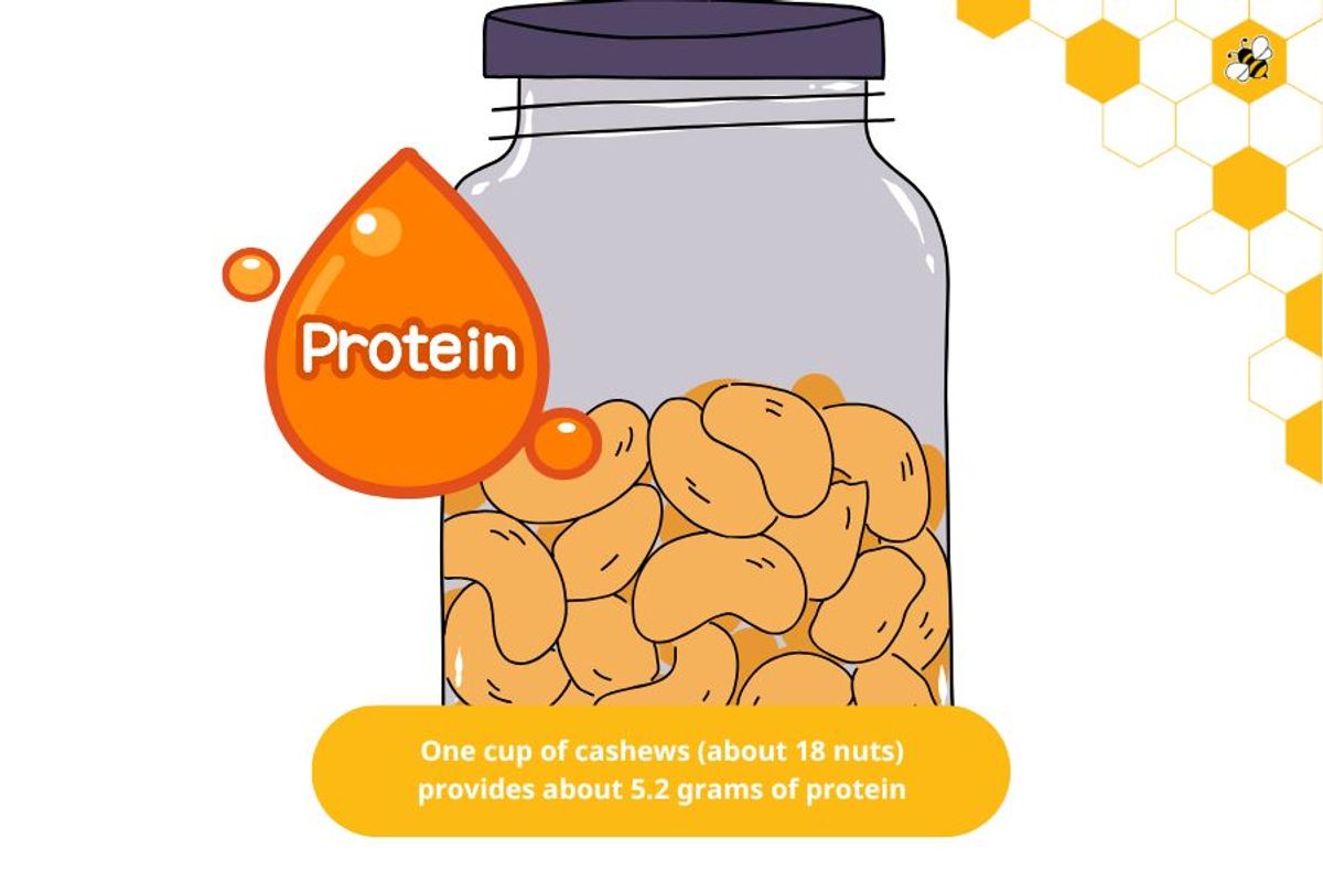 One cup of cashews (about 18 nuts) provides about 5.2 grams of protein