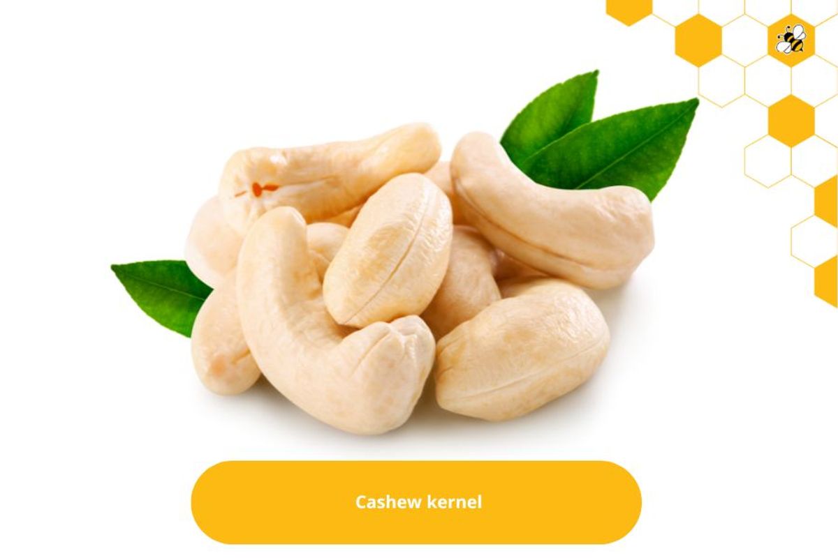 Cashew kernel