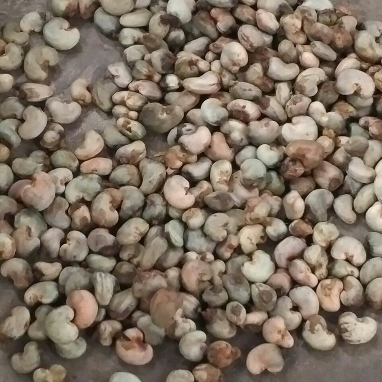 Raw Cashews