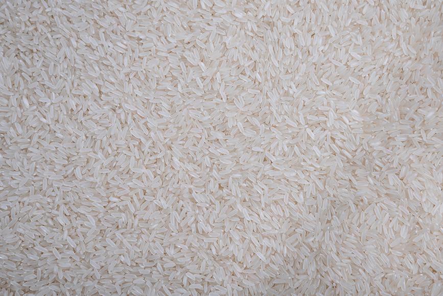 Jasmine rice