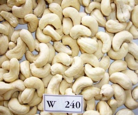 White Cashew Nuts W240