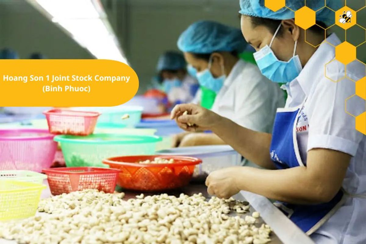 Hoang Son 1 Joint Stock Company (Binh Phuoc)