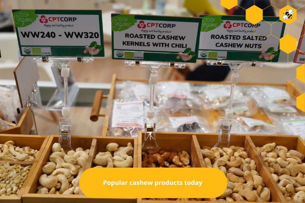 Popular cashew products today