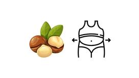 Are macadamia nuts fattening? How to eat macadamia to control weight