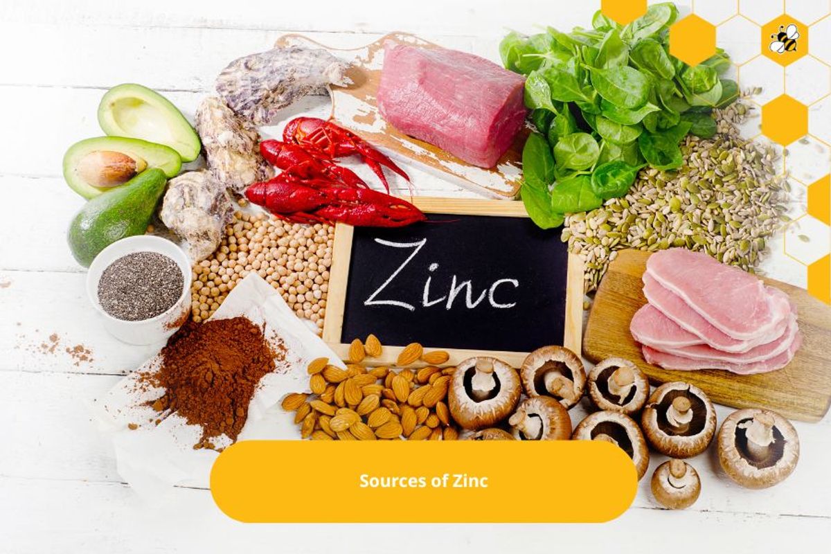 Sources of Zinc