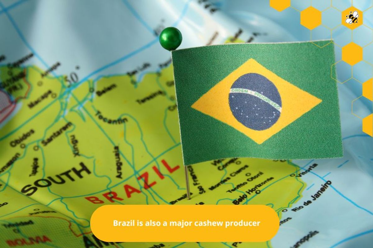 Brazil is also a major cashew producer