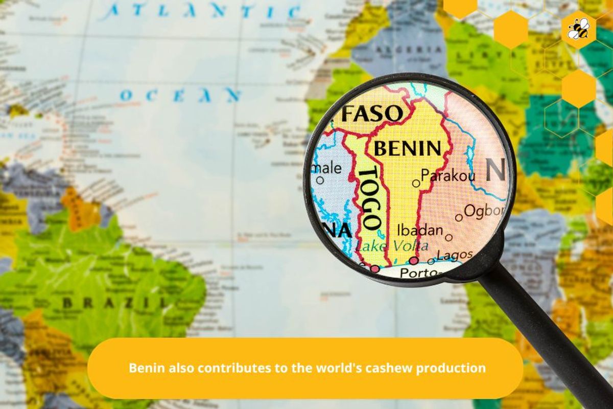 Benin also contributes to the world's cashew production