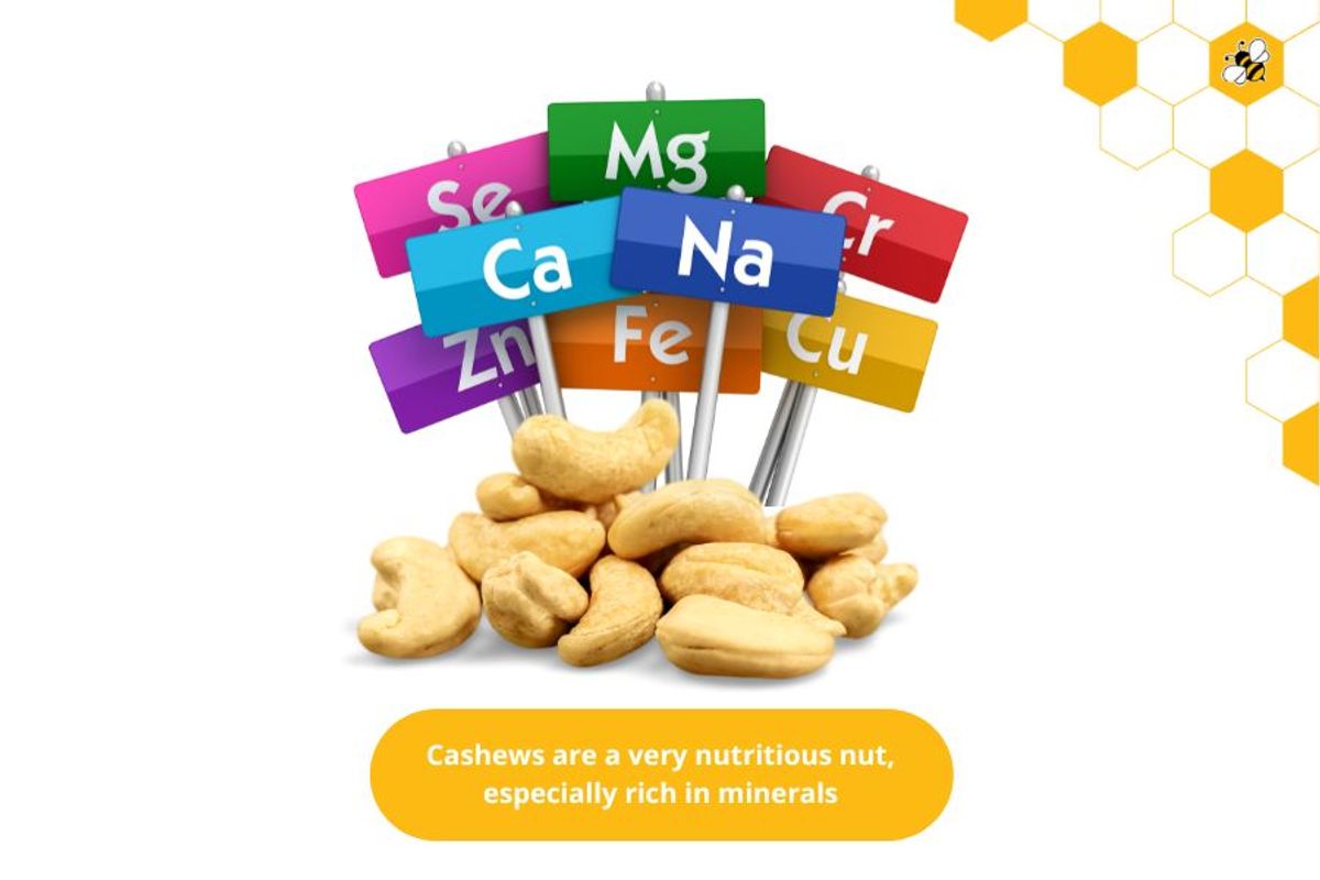 Cashews are a very nutritious nut, especially rich in minerals