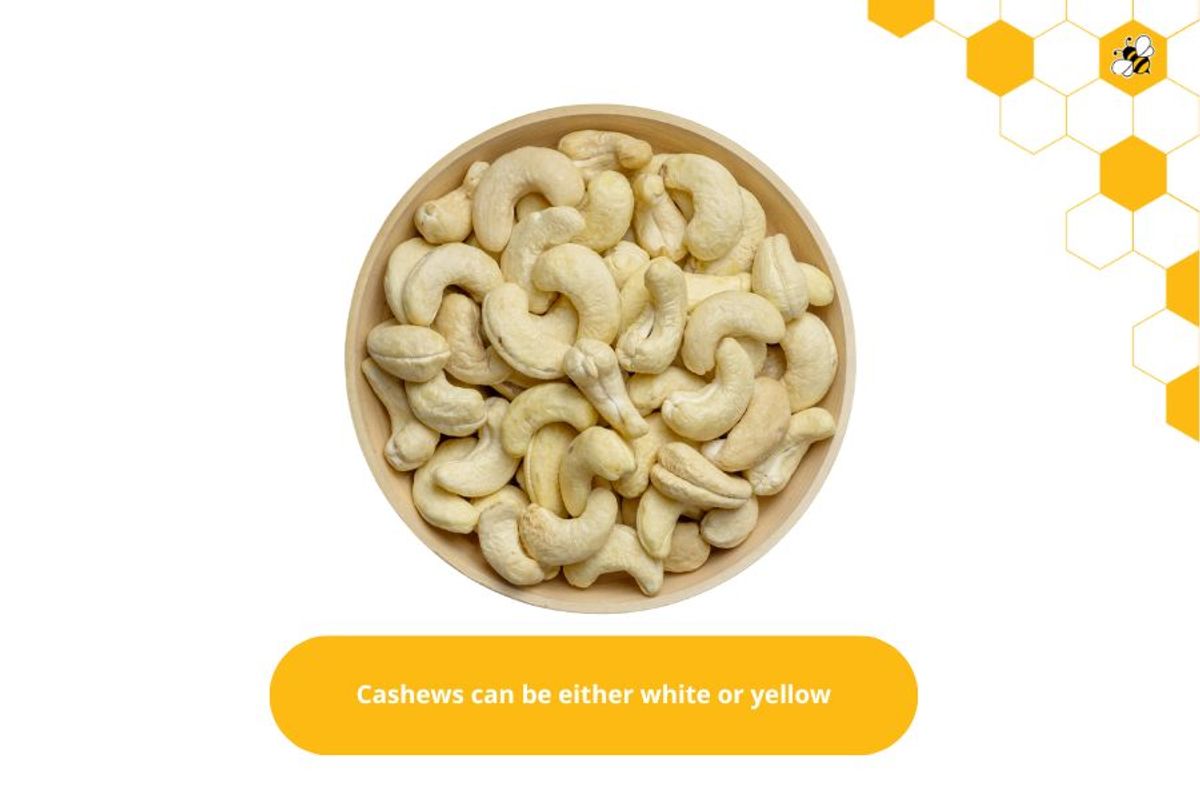 Cashews can be either white or yellow