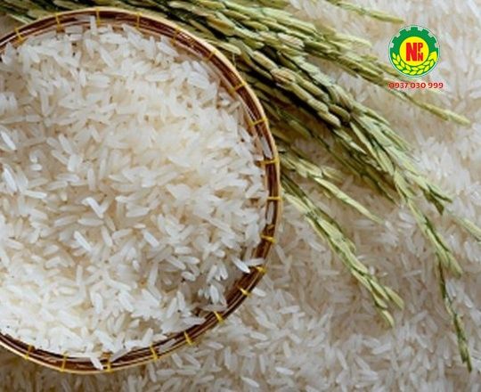 ST25 RICE IS GOOD FOR DIABETES