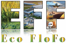 ECO FLOFO GLOBAL TRADING AND MANUFACTURING COMPANY LIMITED