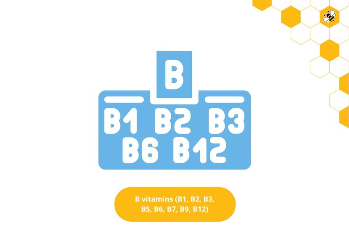 B vitamins (B1, B2, B3, B5, B6, B7, B9, B12)