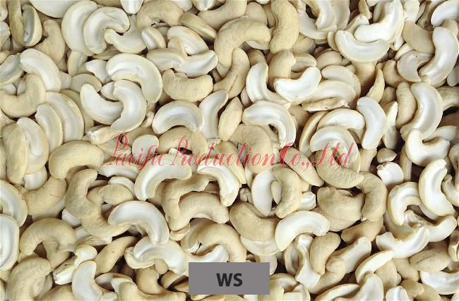 Vietnam Cashew Nut WS