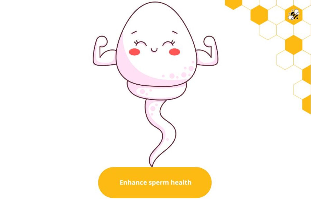 Enhance sperm health