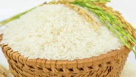 Mastering Rice Grain Sizes: A Comprehensive Guide to Short, Medium, and Long Grain Rice in Vietnam
