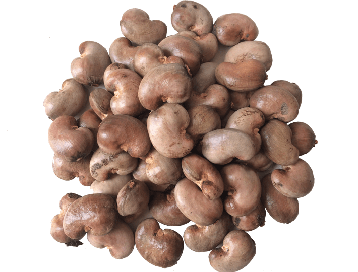 RAW CASHEW NUTS