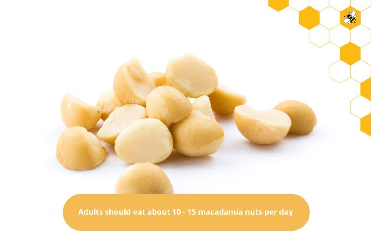 Adults should eat about 10 - 15 macadamia nuts per day