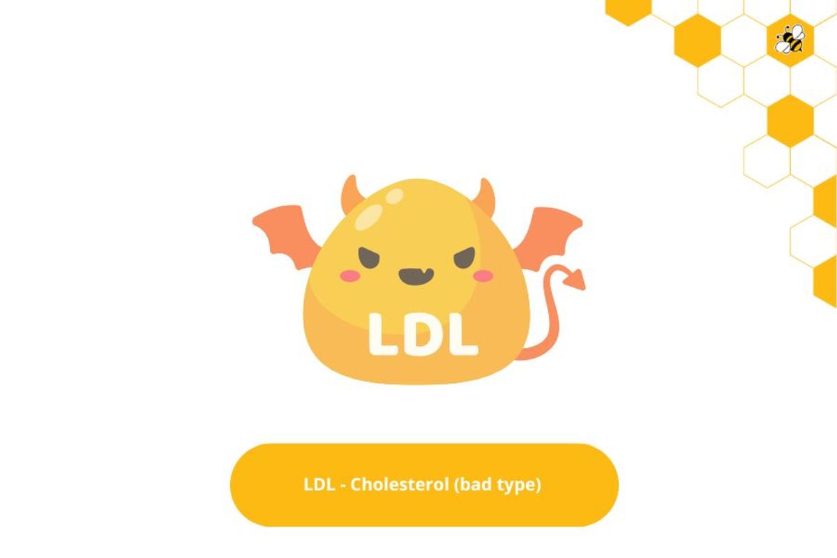 LDL - Cholesterol (bad type)