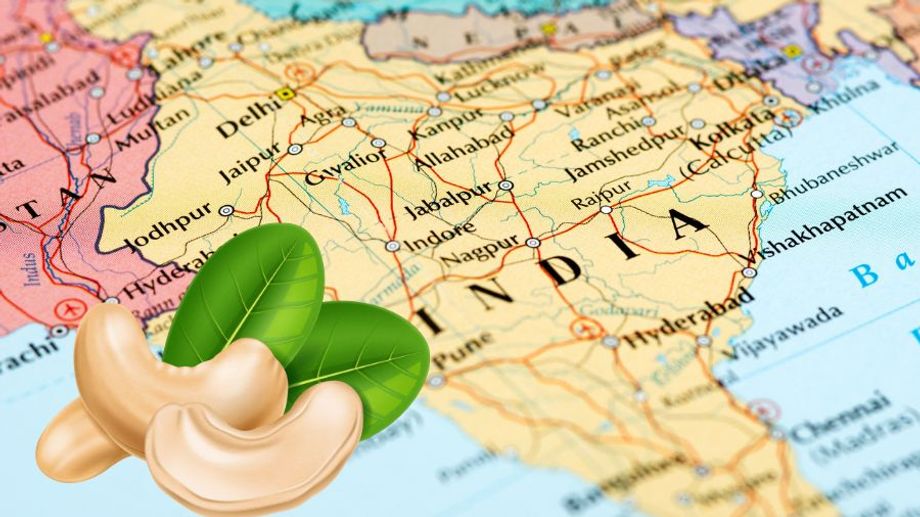 Cashew Nut Industry in India - Cashew Nuts India vs Other Countries