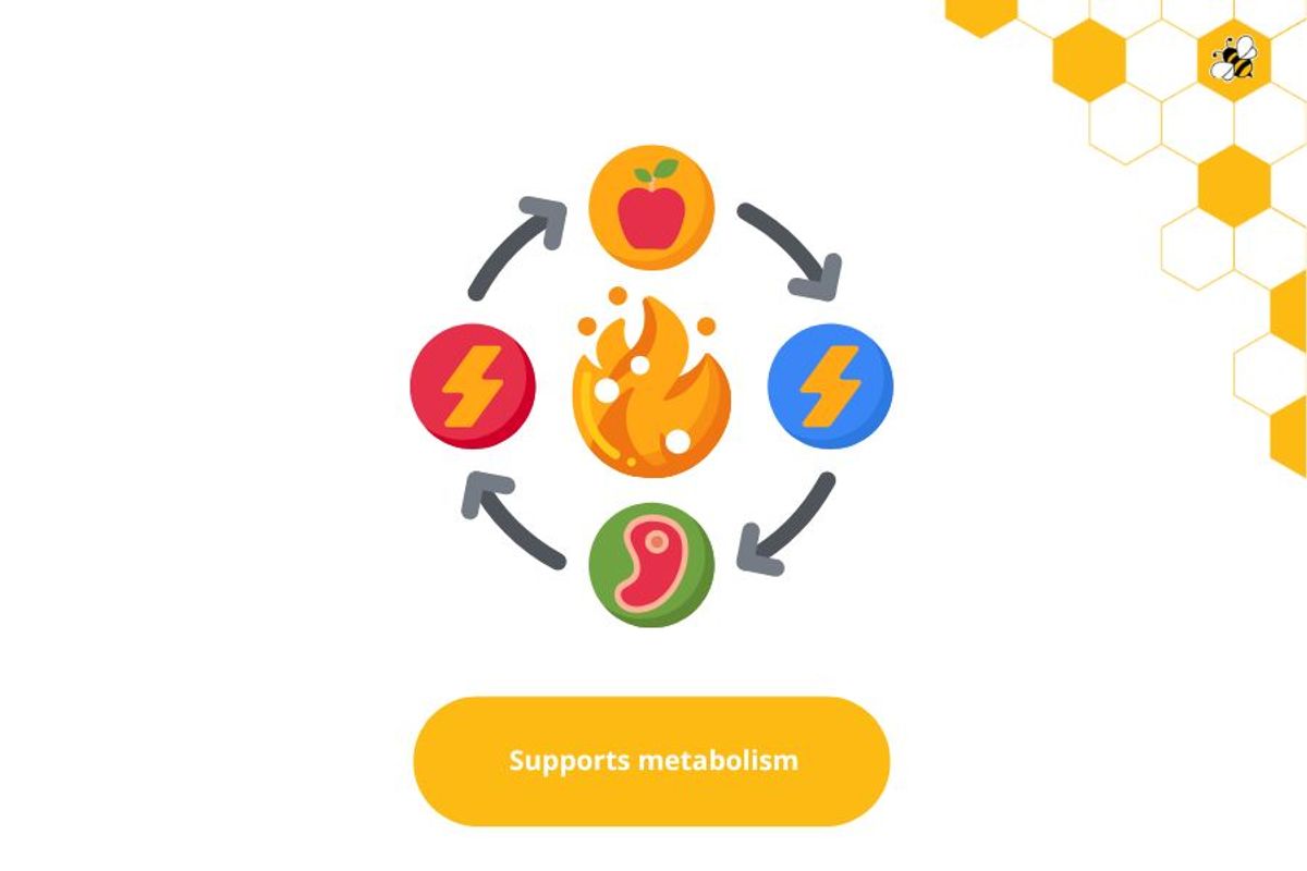 Supports metabolism