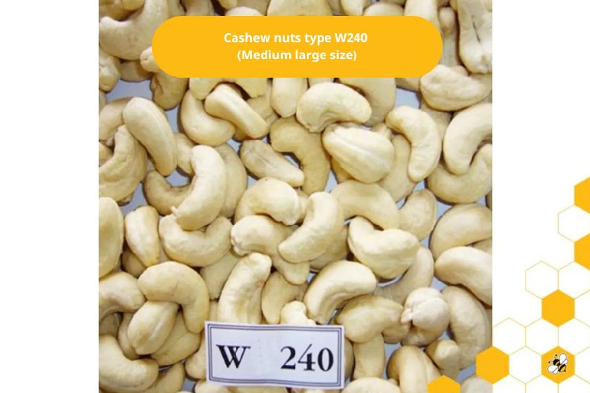 Cashew nuts type W240  (Medium large size)