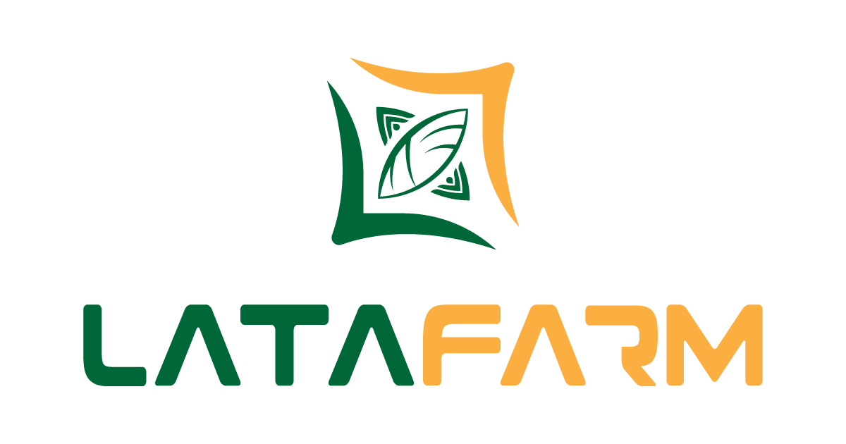 LATA FARM COMPANY LIMITED