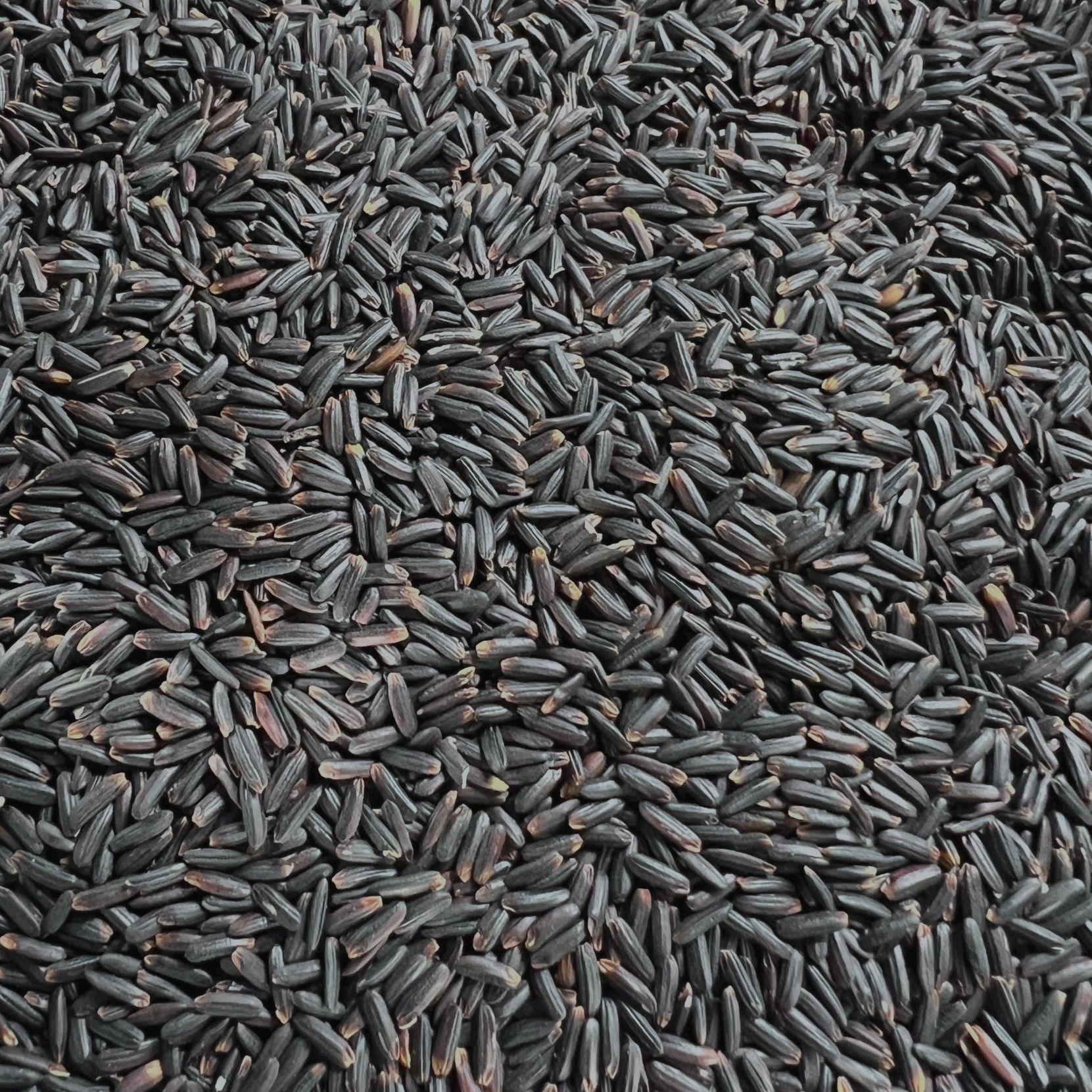 Black Glutinous Rice