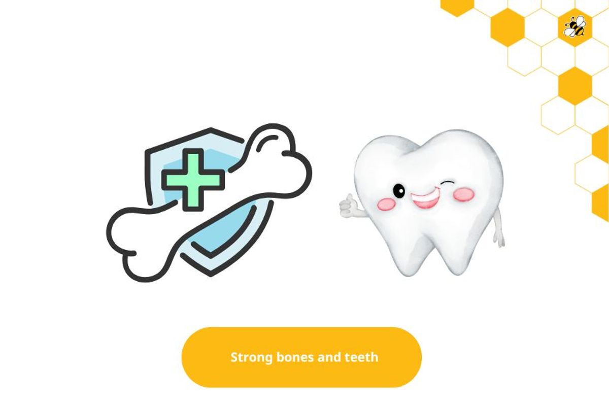 Strong bones and teeth