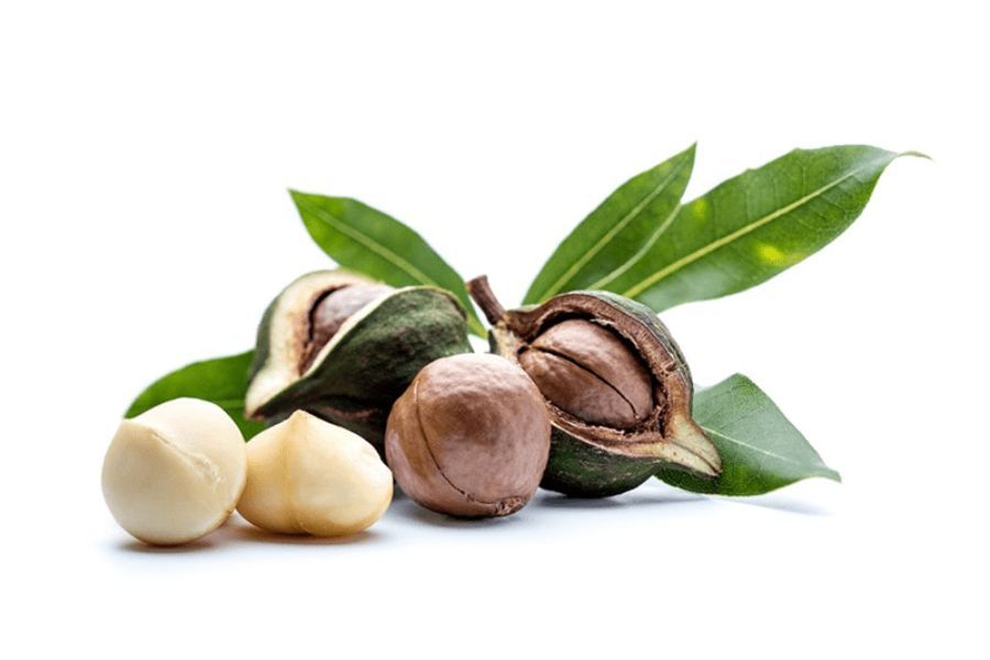 Vietnamese Macadamia Nuts