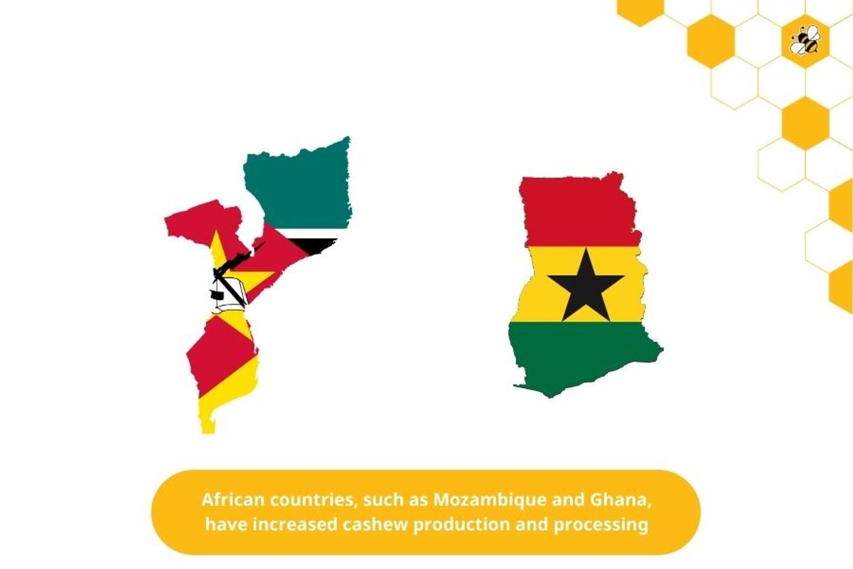 African countries, such as Mozambique and Ghana, have increased cashew production and processing