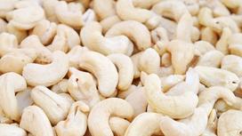 Cashew Nuts: Surprising Benefits, Hidden Risks, and Why Everyone’s Eating Them