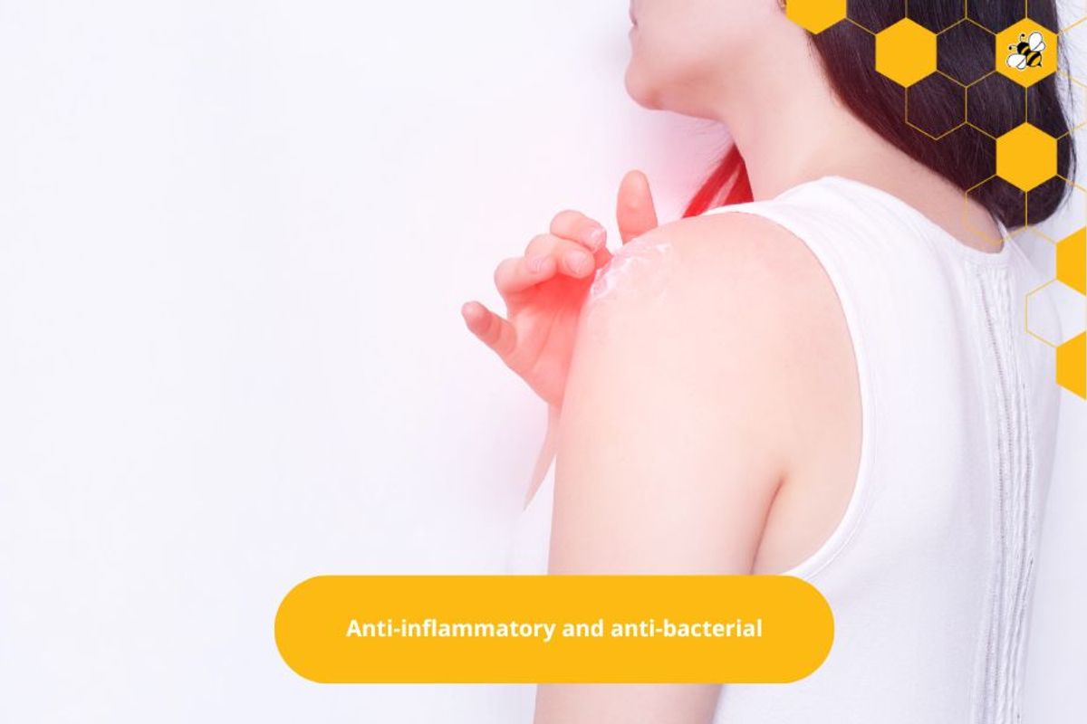 Anti-inflammatory and anti-bacterial