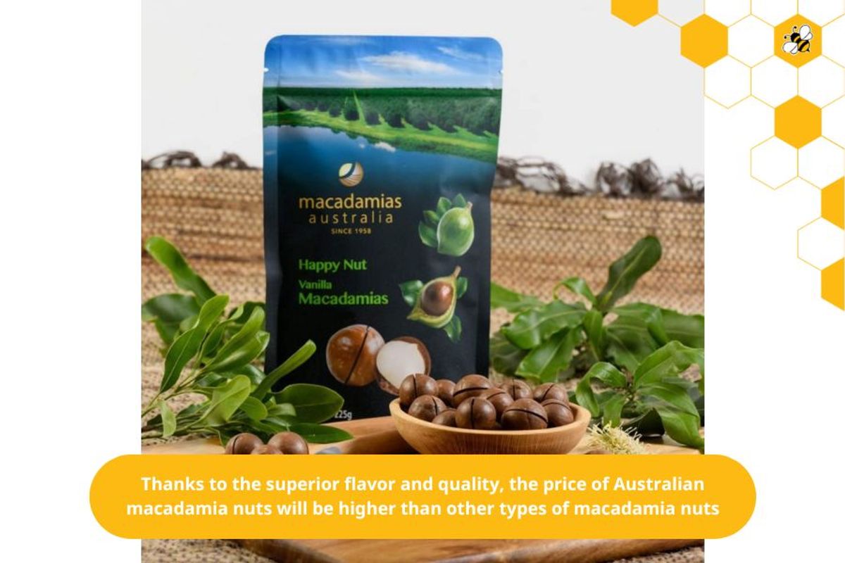 Thanks to the superior flavor and quality, the price of Australian macadamia nuts will be higher than other types of macadamia nuts