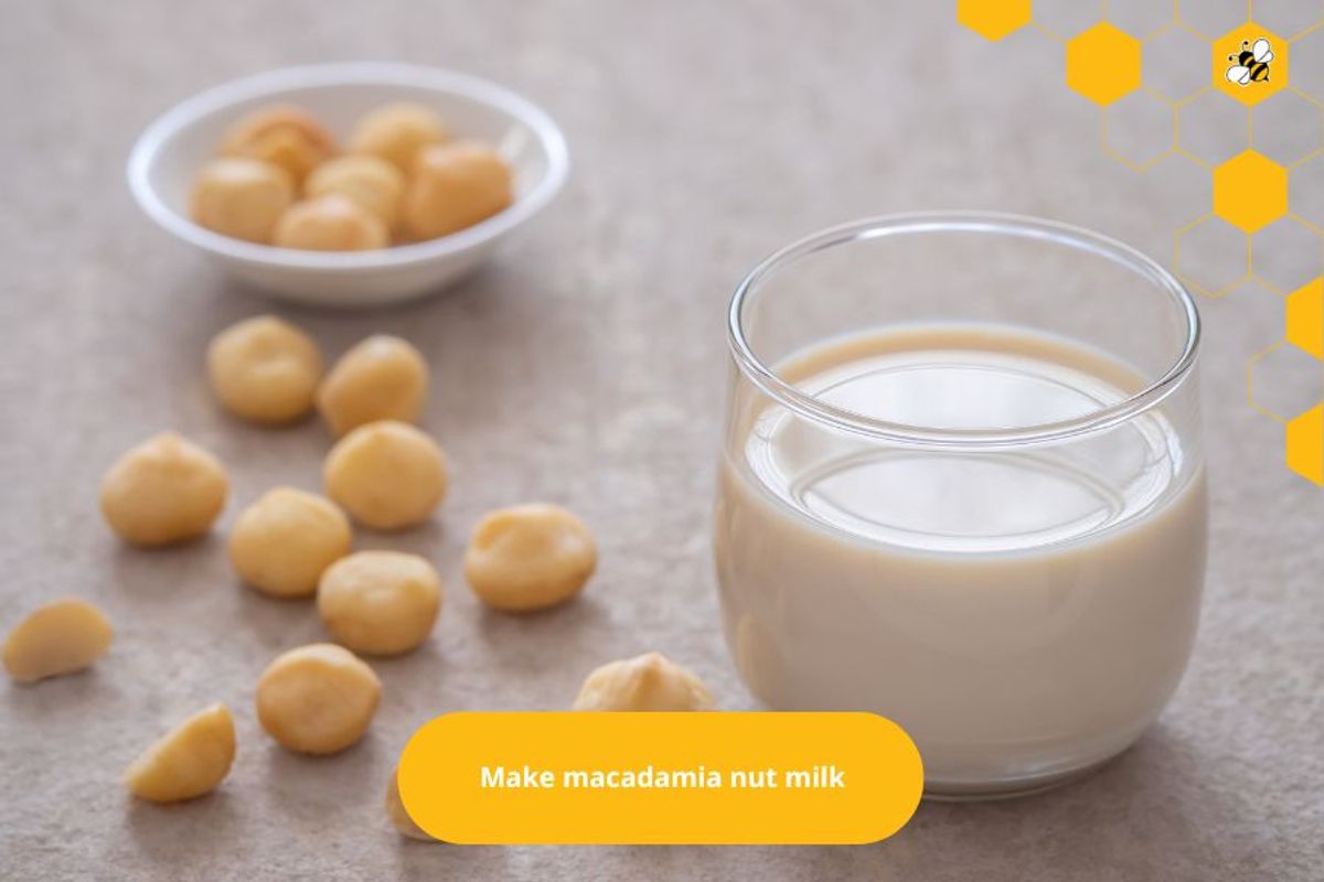 Make macadamia nut milk