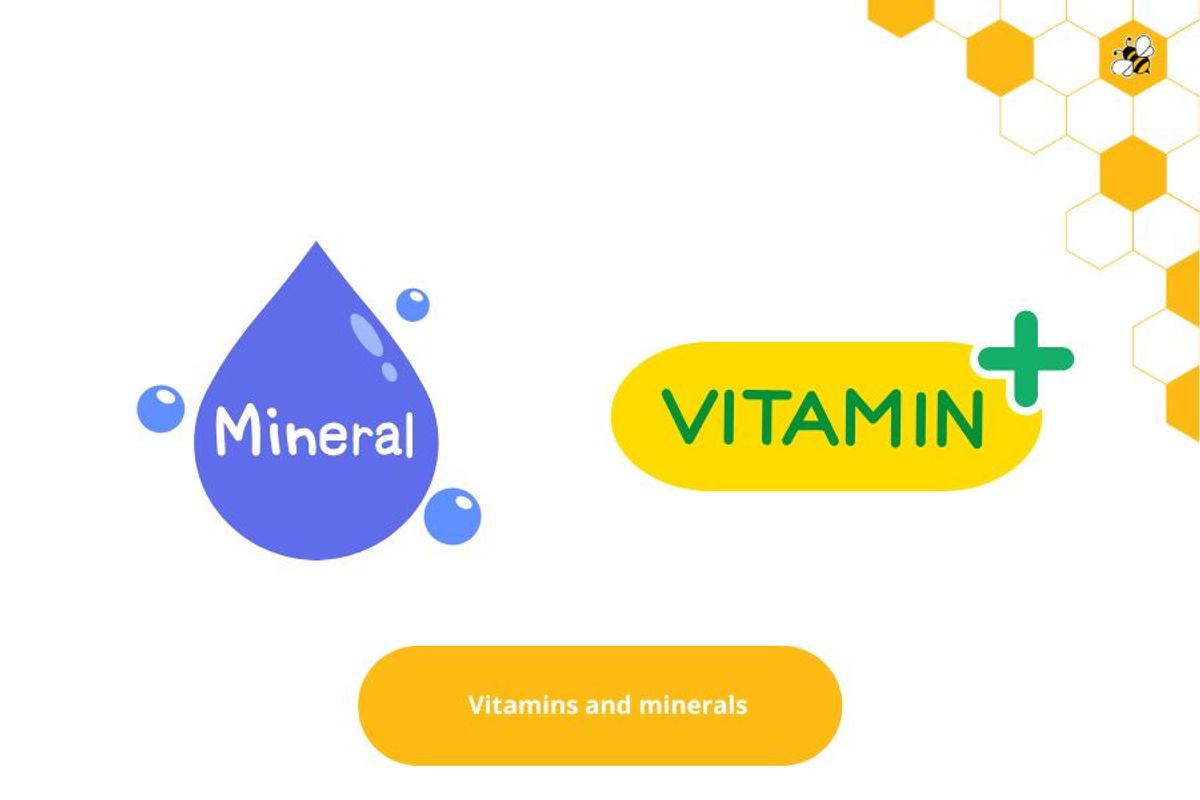 Vitamins and minerals