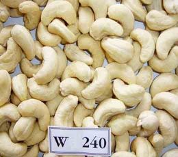 White Cashews WW 240