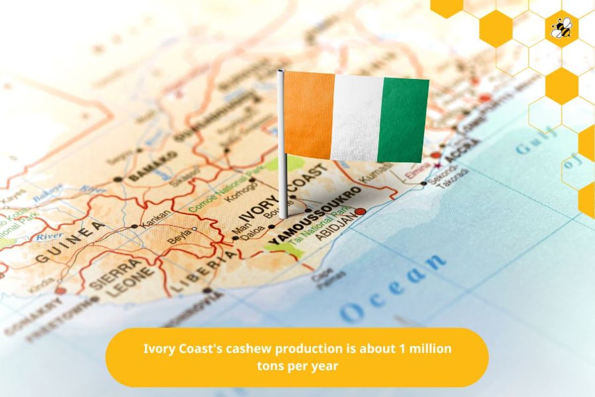 Ivory Coast's cashew production is about 1 million tons per year.