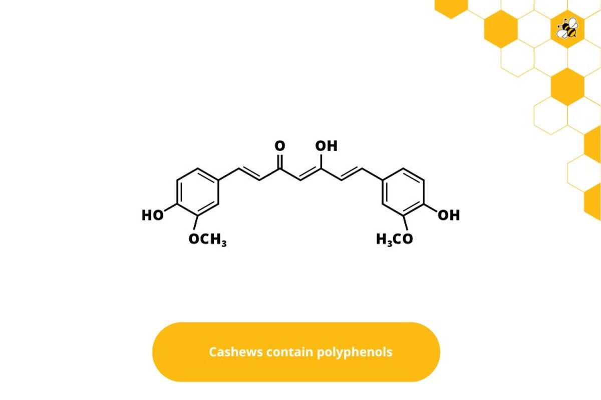 Cashews contain polyphenols