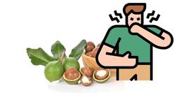 What are the side effects of macadamia nuts? Are they worrisome?