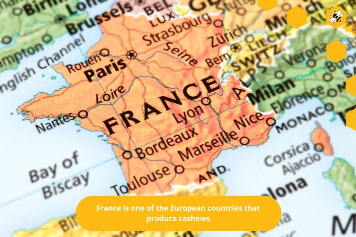 France is one of the European countries that produce cashews