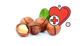 Are macadamia nuts (fruits) good? Nutritional composition of macadamia nuts